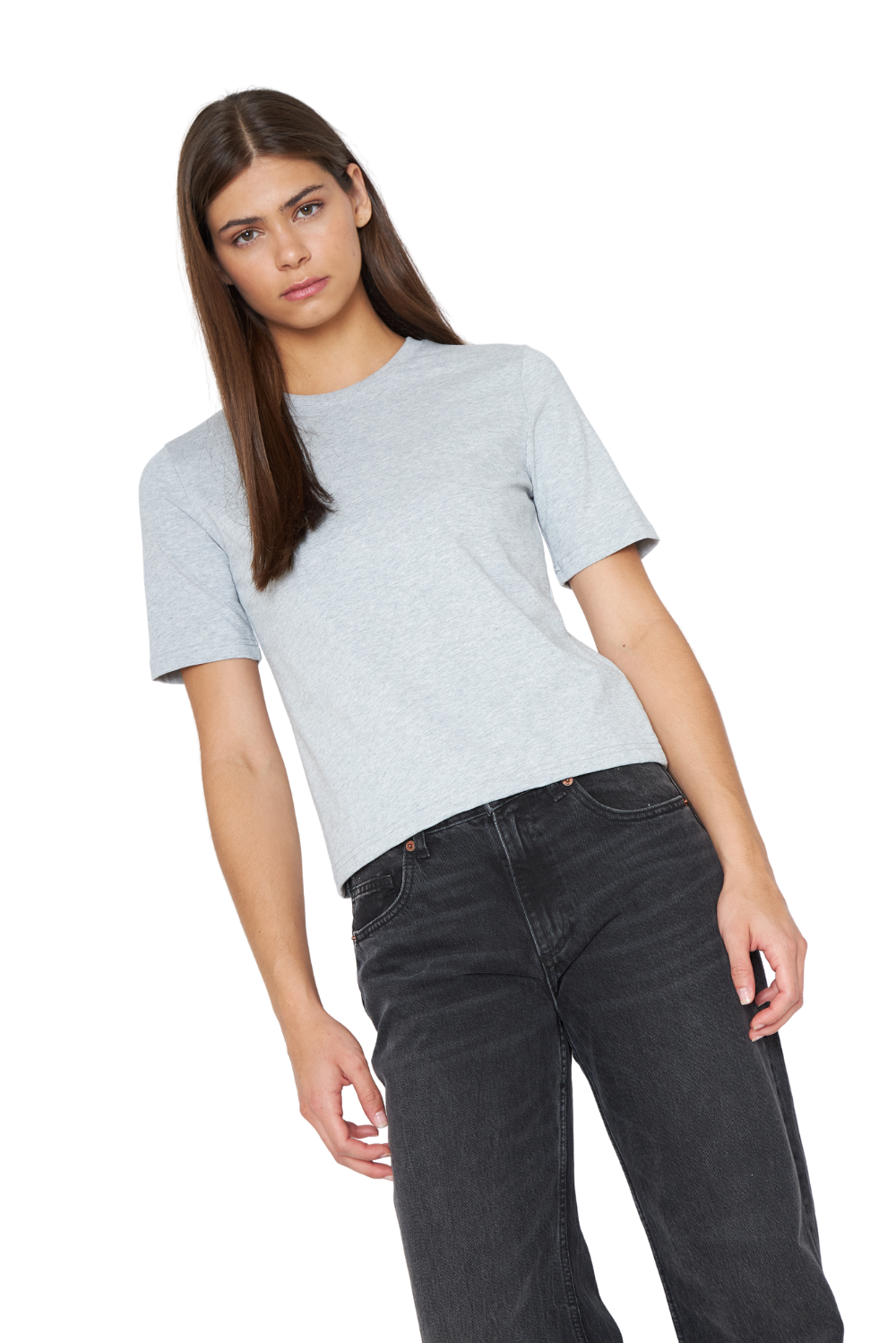 Polera Jacinta gris claro