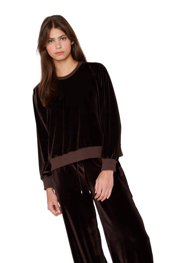 Polerón Jackson café