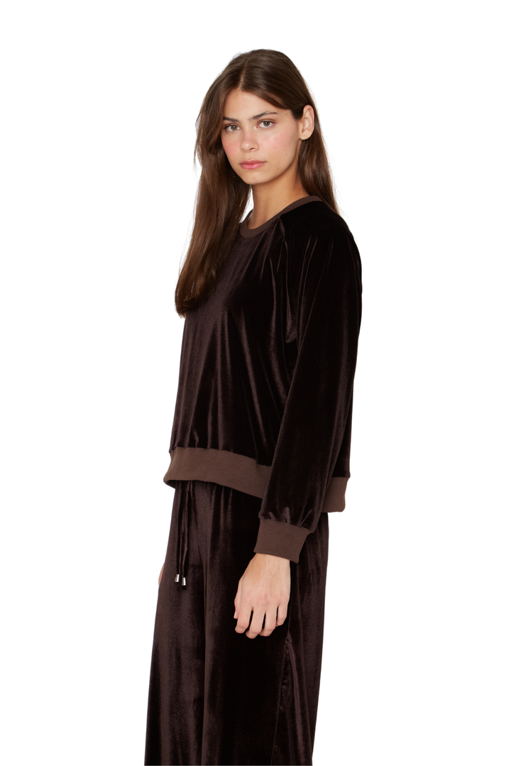 Polerón Jackson café