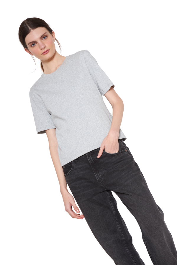 Polera Jacinta gris claro